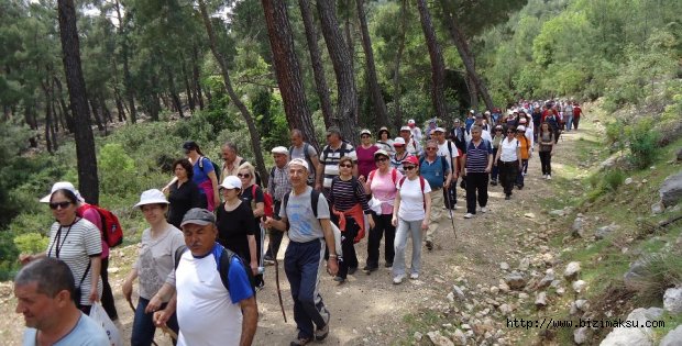  Doğaseverler 9 kilometre yürüdü