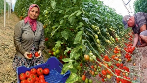 ŞAHİN: TARIM DURMA NOKTASINA GELDİ