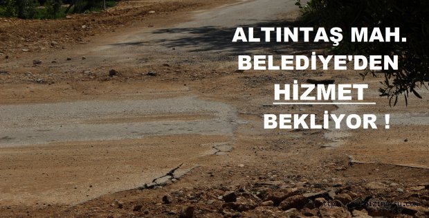 Altıntaş, belediyeden hizmet bekliyor