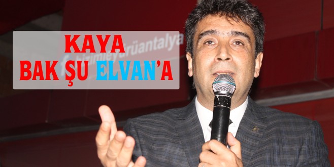 BAK ŞU ELVAN’A