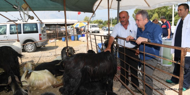 BAŞKAN BÖCEK; “KURBAN HAZIRLIKLARIMIZ TAMAM”