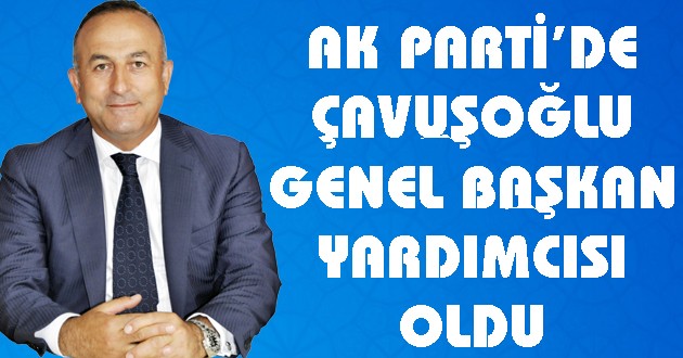 Mevlüt Çavuşoğlu Genel Başkanı Yardımcısı Oldu