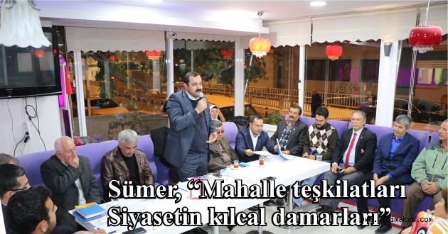 Sümer, “Mahalle teşkilatları Siyasetin kılcal damarları”